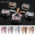 NAILCO Holographic Mirror Nail Powder